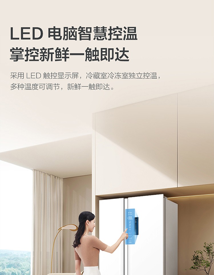 BCD-520CWP1-750_21.jpg