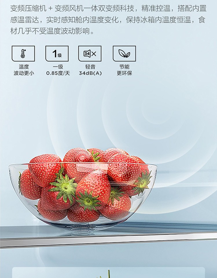 BCD-520CWP1-750_13.jpg