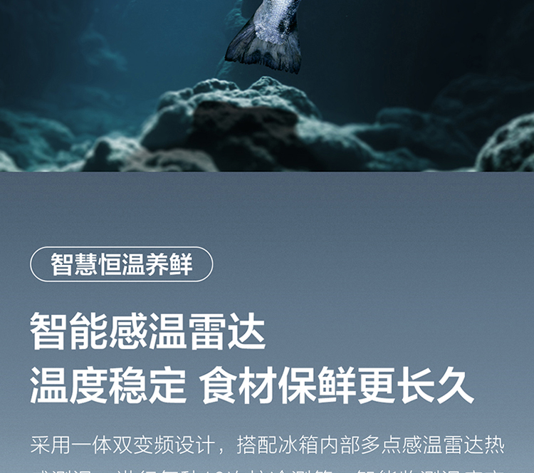 R410S1-U星夜蓝_26.jpg