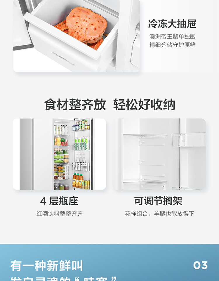 BCD-520CWP1-750_10.jpg
