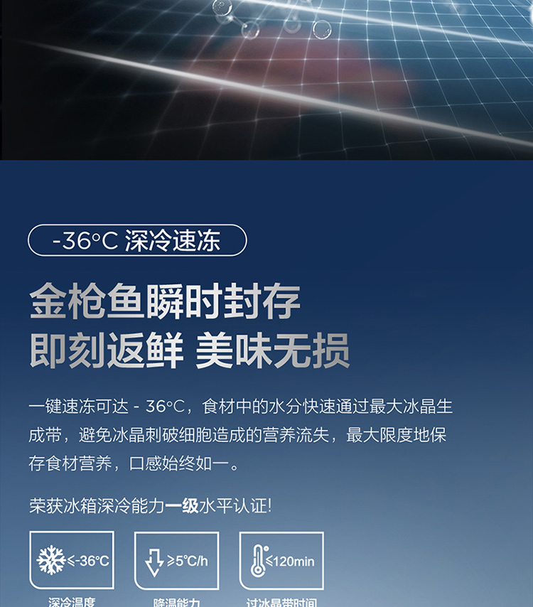 R528P12-750-1_10.jpg